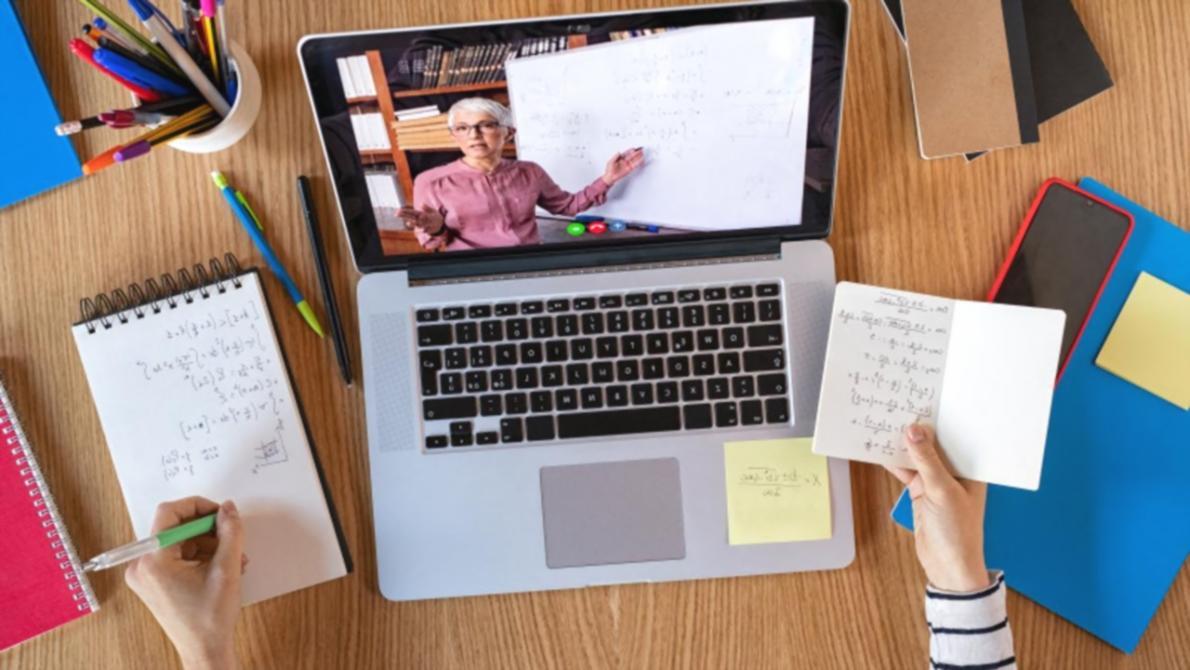 Contacto con Zorynthaliva